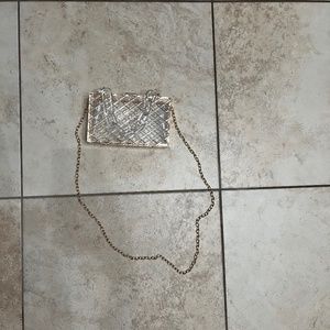 Clear purse